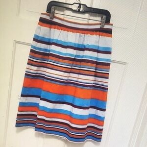 Striped Multicolor Women's Skirt